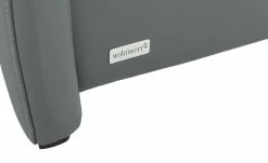 Wohnwert Ledersofa Halina | Schiefer (Grau) Erweiterte Funktion -Sofas Verkaufsladen 17408947 11 202203142232