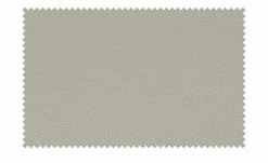 meinSofa Ledersofa Manon | Platingrau 2 ohne -Sofas Verkaufsladen 22404830 7 201904302040