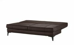 Ledersofa Svea | Braun -Sofas Verkaufsladen 24402459 8 201904172112