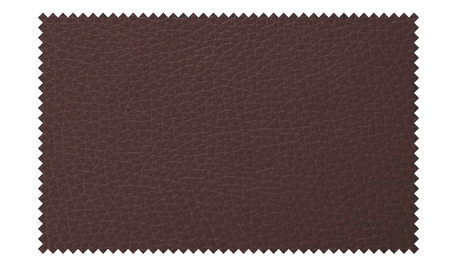 himolla Ledersofa 1501 | Oxblood (Dunkelrot) Grundfunktion 2,5 15 himolla Ledersofa 1501 | Oxblood (Dunkelrot) Grundfunktion 2,5 – Bild 13