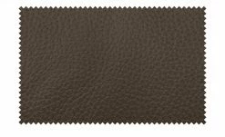 Wohnwert Ledersofa Ambra | Braun Erweiterte Funktion 2 -Sofas Verkaufsladen 26405848 9 202106302232