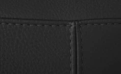 Ledersofa, niedrig Boavista | Schwarz 16 Ledersofa, niedrig Boavista | Schwarz -Sofas Verkaufsladen 27400671 5 202011302238