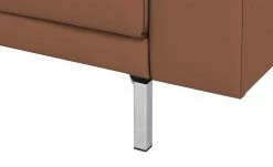 hülsta Sofa Sofabank aus Leder HS 450 | Signalbraun 220|cm -Sofas Verkaufsladen 27402038 2 202101042356