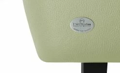 himolla Ecksofa Leder 1928 | Ulme (Mintgrün) rechts 26 himolla Ecksofa Leder 1928 | Ulme (Mintgrün) rechts -Sofas Verkaufsladen 27402723 9 202102122237