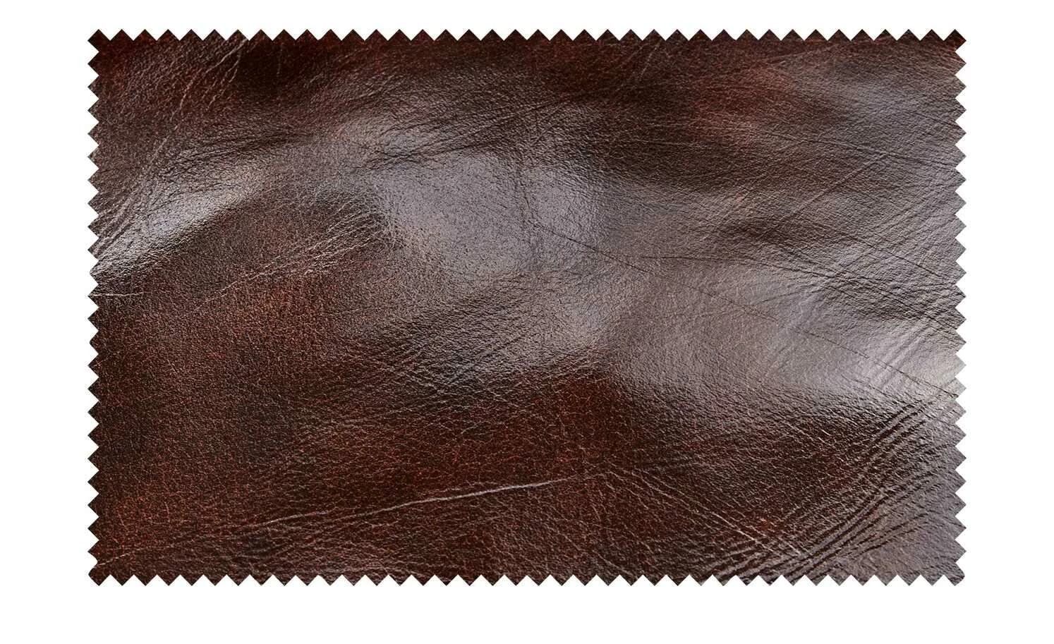 uno Sofa Chesterfield | 3 5 uno Sofa Chesterfield | 3 – Bild 3