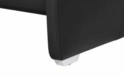 erpo just relax Ledersofa JR 290 Trento | Black (Schwarz) 2 -Sofas Verkaufsladen 28403004 3 202110262232