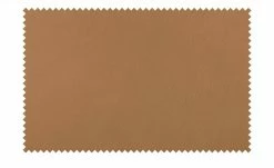 erpo just relax Ledersofa JR 290 Trento | Camel (Hellbraun) 2 -Sofas Verkaufsladen 28403008 5 202110262232