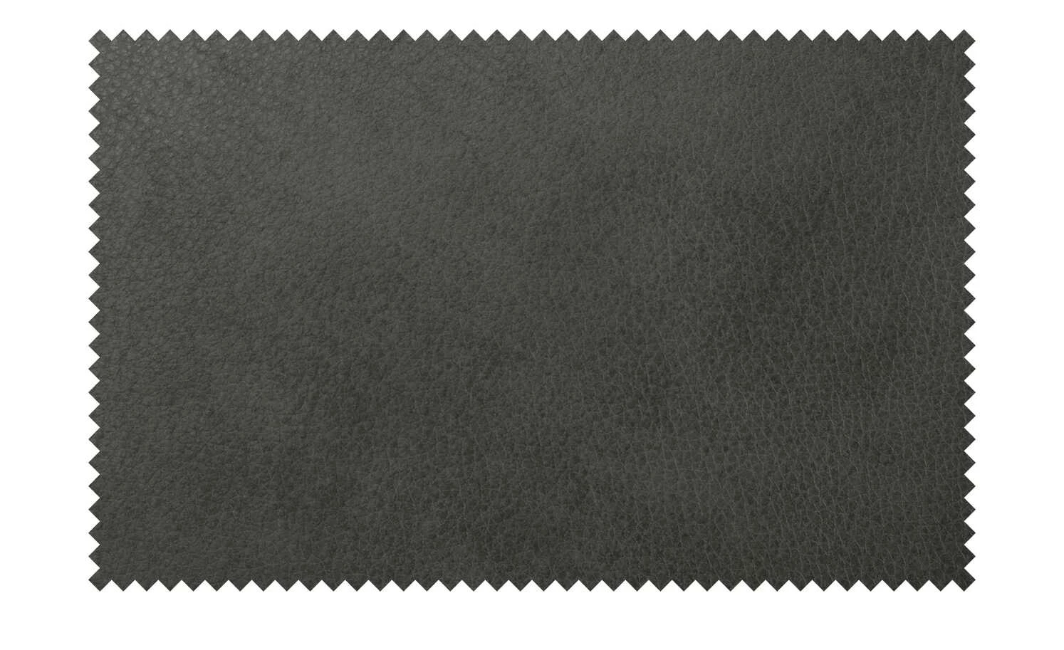 himolla Ledersofa 1926 | Brikett (Dunkelgrau) Grundfunktion 5 himolla Ledersofa 1926 | Brikett (Dunkelgrau) Grundfunktion – Bild 3