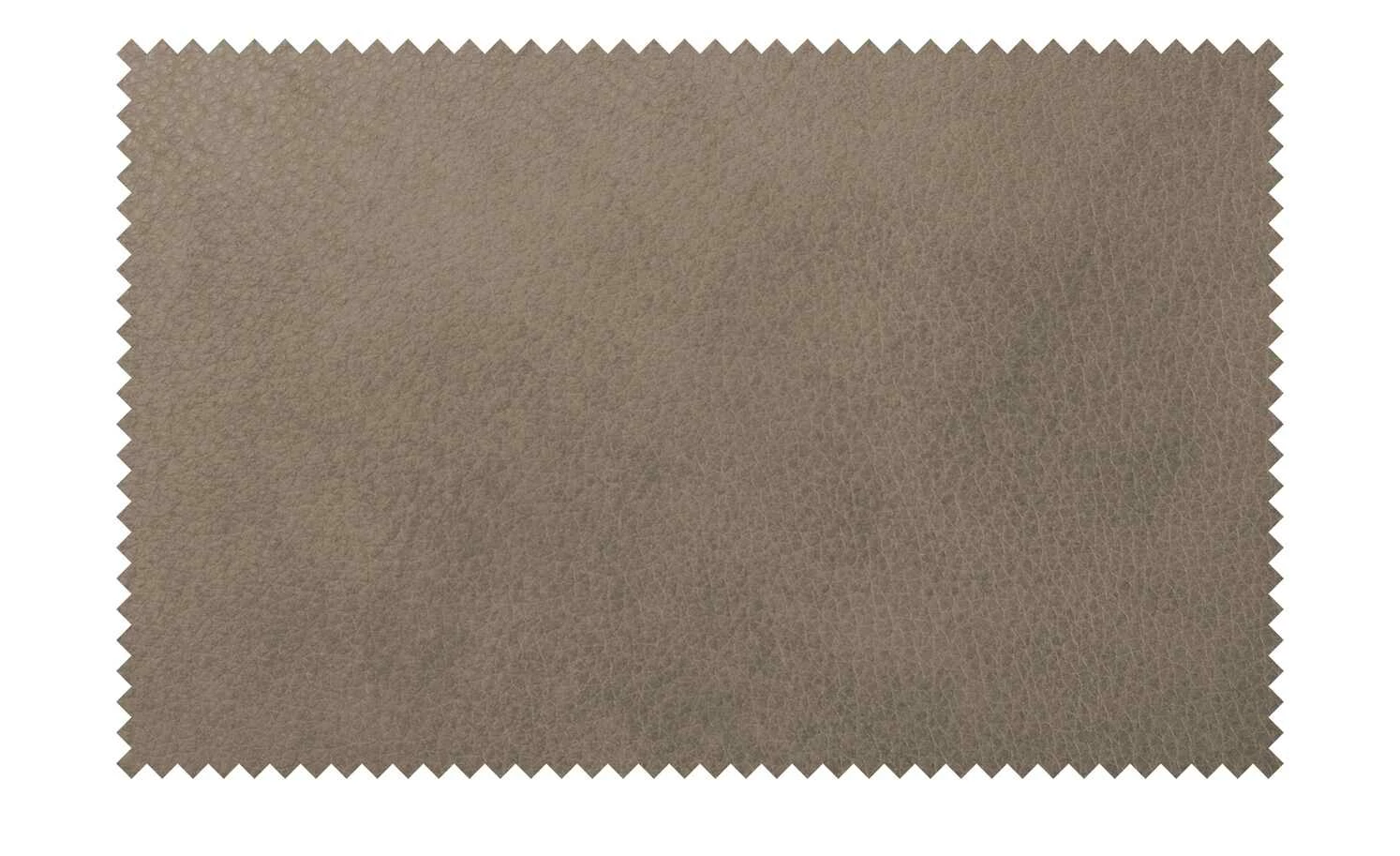 himolla Ledersofa 1926 | Fango (Hellbraun) Grundfunktion 5 himolla Ledersofa 1926 | Fango (Hellbraun) Grundfunktion – Bild 3