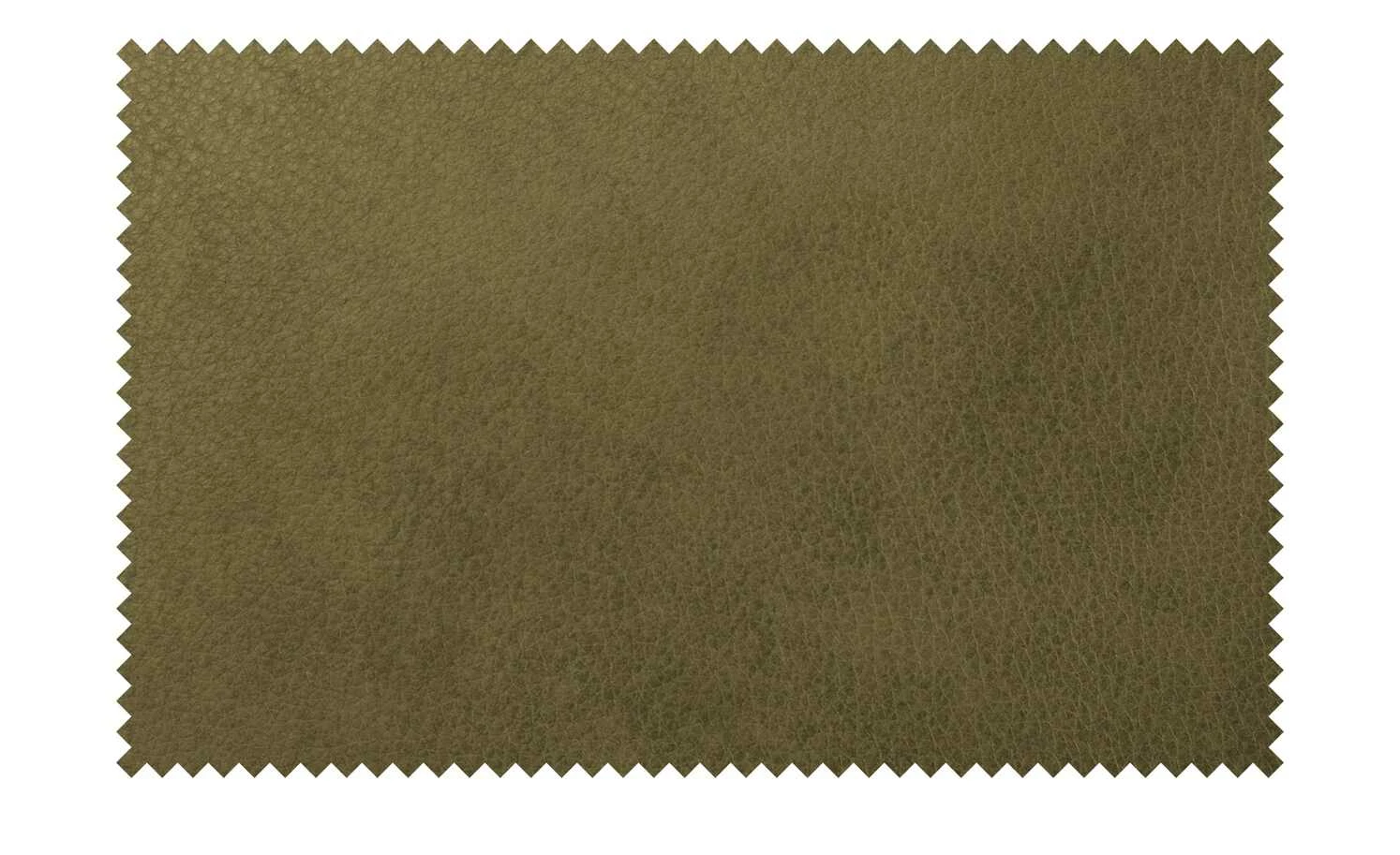 himolla Ledersofa 1926 | Alm (Dunkelgrün) Grundfunktion 5 himolla Ledersofa 1926 | Alm (Dunkelgrün) Grundfunktion – Bild 3