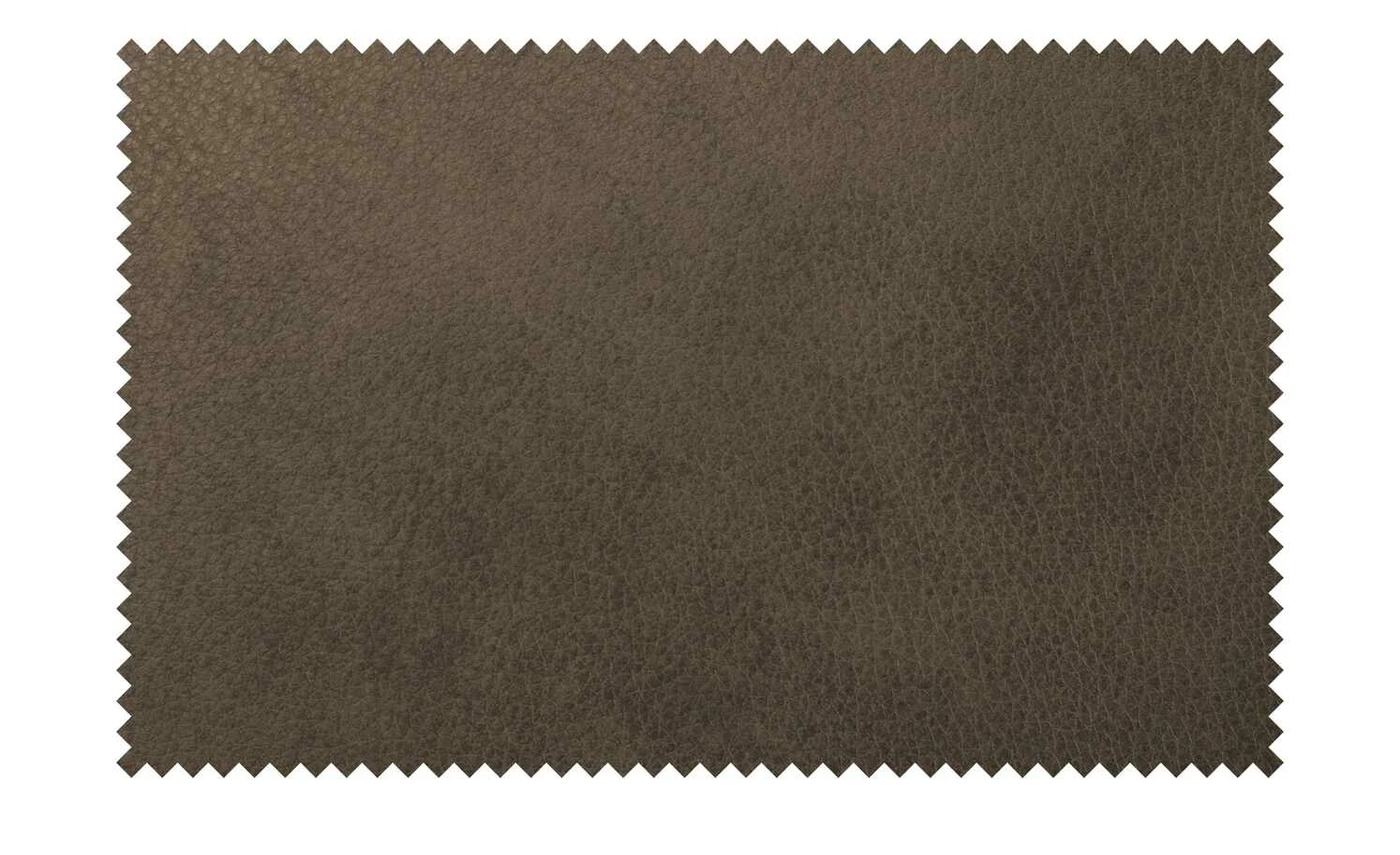 himolla Ledersofa 1926 | Forest (Braun) Grundfunktion 12 himolla Ledersofa 1926 | Forest (Braun) Grundfunktion – Bild 10