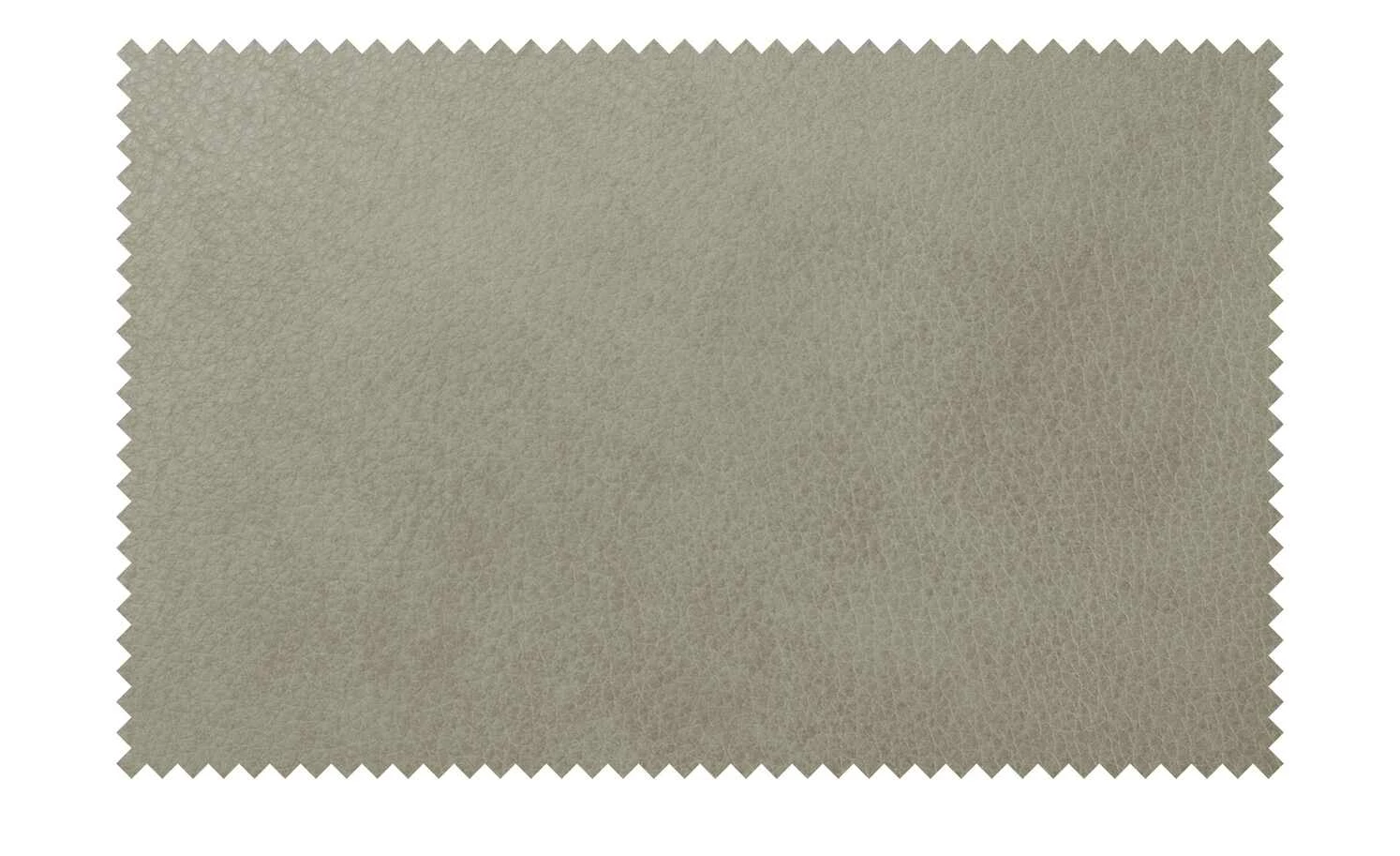 himolla Ledersofa 1926 | Grau (Hellgrau) Grundfunktion 14 himolla Ledersofa 1926 | Grau (Hellgrau) Grundfunktion – Bild 12