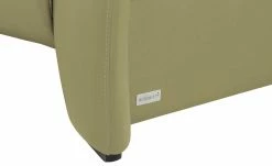 Wohnwert Ledersofa Halina | Hellgrün 17 Wohnwert Ledersofa Halina | Hellgrün -Sofas Verkaufsladen 28407470 5 202203171234