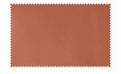 Wohnwert Ledersofa Halina | Orange -Sofas Verkaufsladen 28407472 10 202203171234