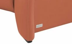 Wohnwert Ledersofa Halina | Orange -Sofas Verkaufsladen 28407472 4 202203171234